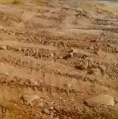 فروش فوری زمین مسکونی نارجو جیرفت|فروش زمین و ملک کلنگی|اسماعیلی, |دیوار