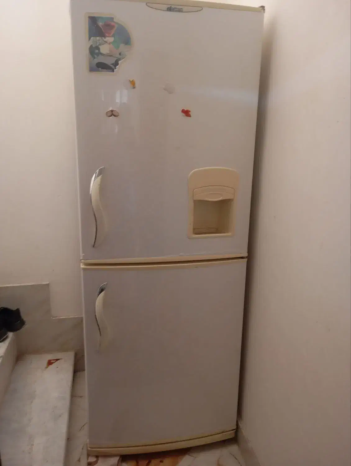 یخچال فریزر|یخچال و فریزر|کاشمر, |دیوار