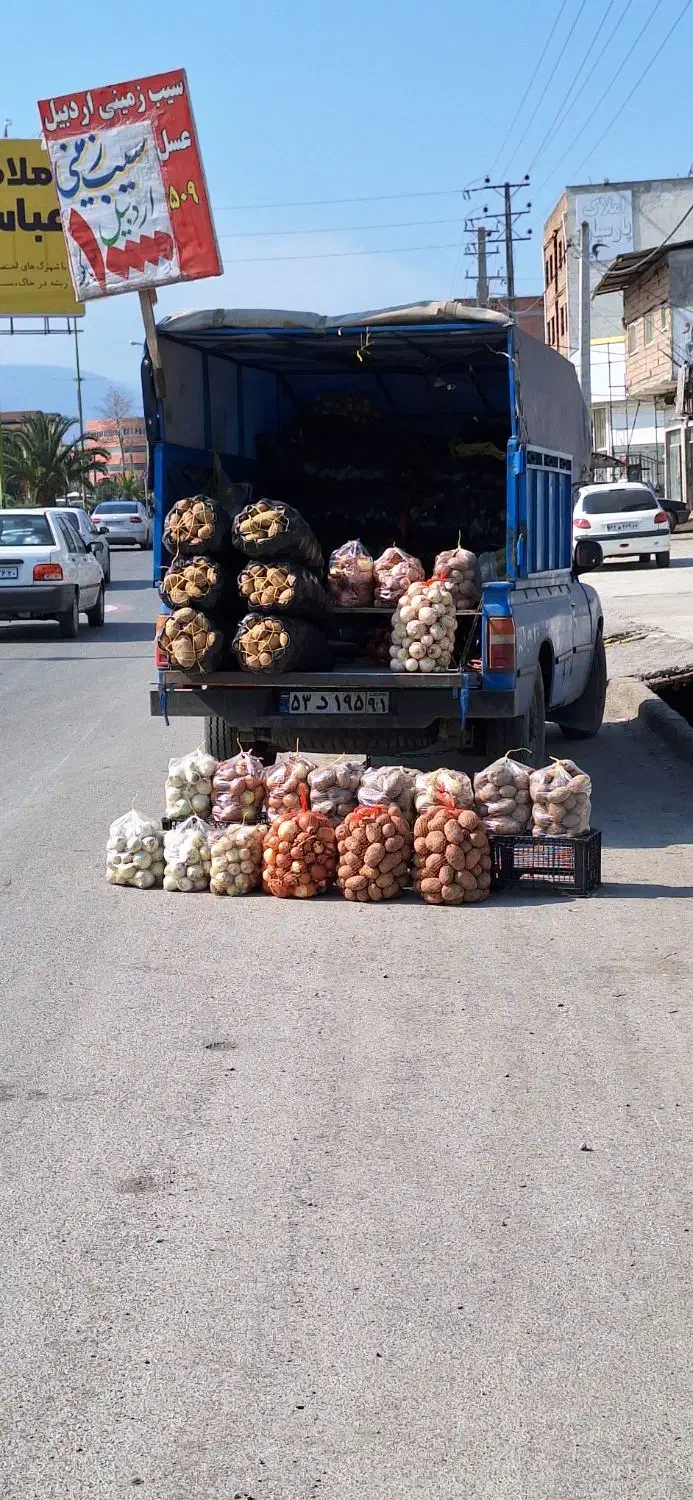 سیب زمینی اردبیل|خوردنی و آشامیدنی|نور, |دیوار