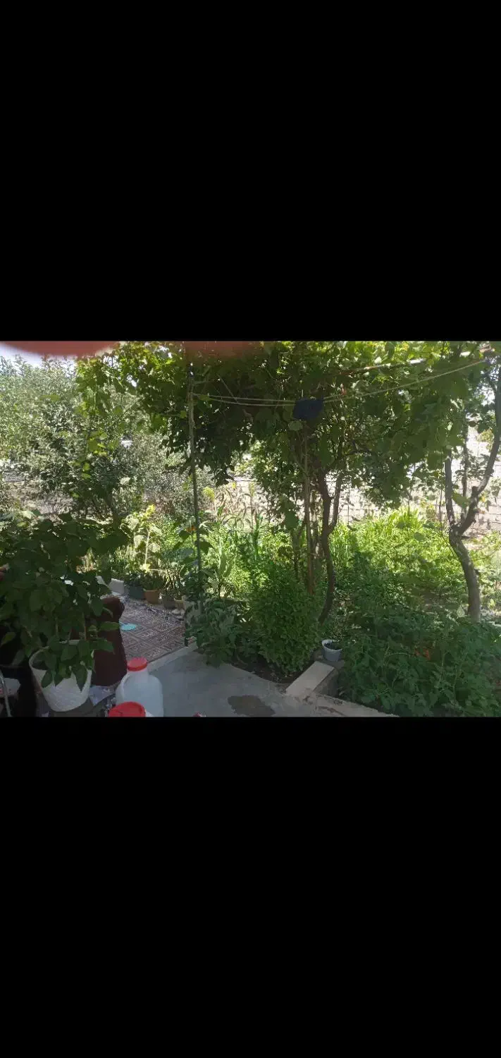 فروش یا معاوضه خونه ویلایی|فروش خانه و ویلا|قصابه, |دیوار