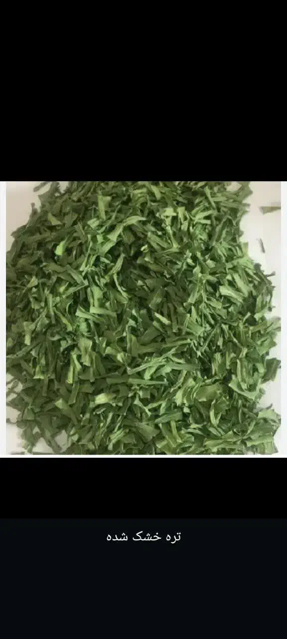 سبزی خشک رامهرمز|خوردنی و آشامیدنی|شاهین‌شهر, عطار|دیوار