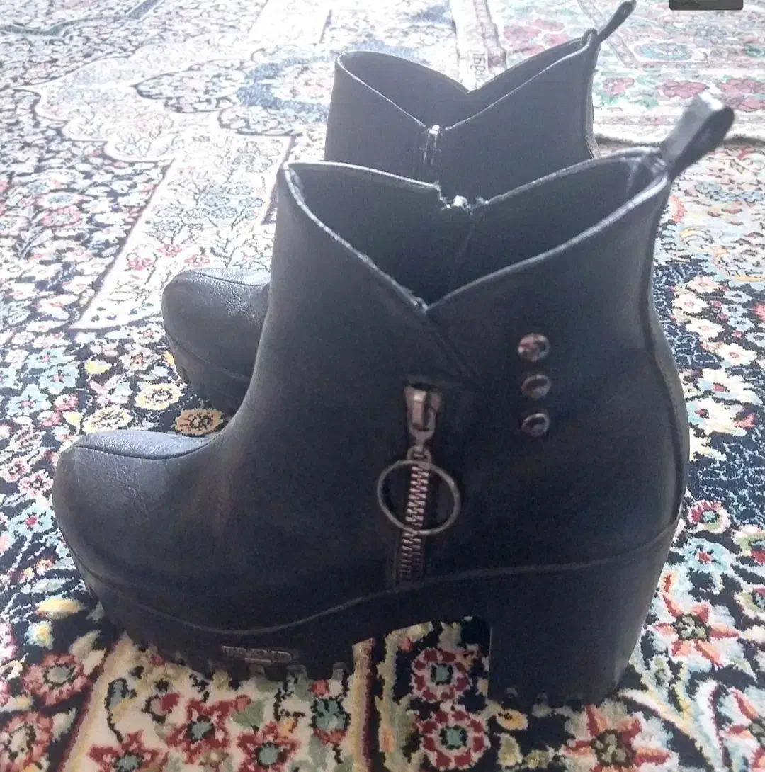 نیم بوت مجلسی|کیف، کفش، کمربند|کرمان, |دیوار