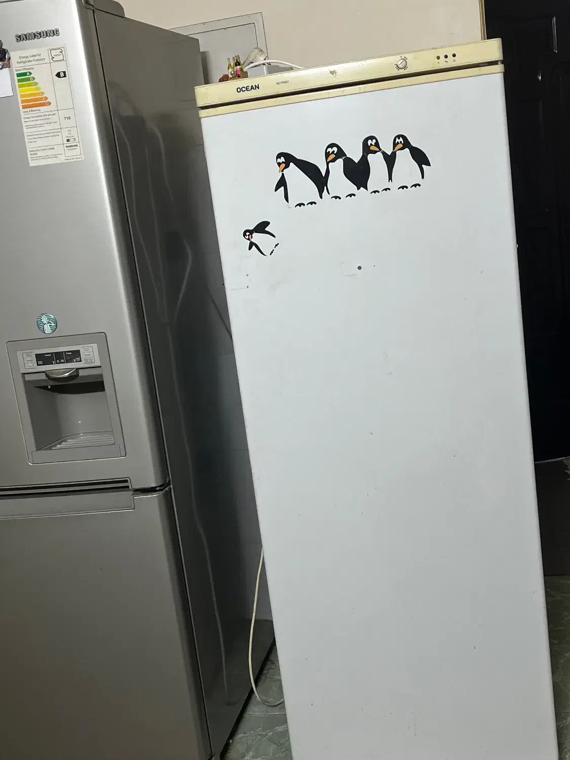 فریزر ایتالیایی اوشن|یخچال و فریزر|لاهیجان, امیرشهید|دیوار