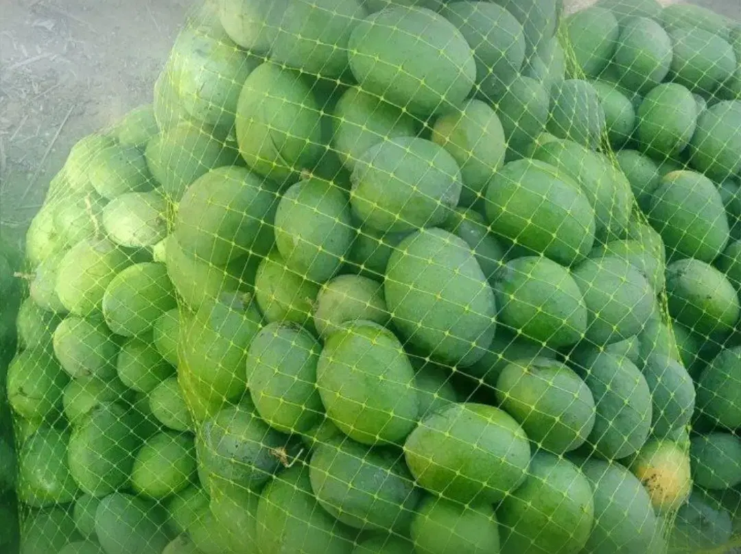 انبه|خوردنی و آشامیدنی|میناب, |دیوار