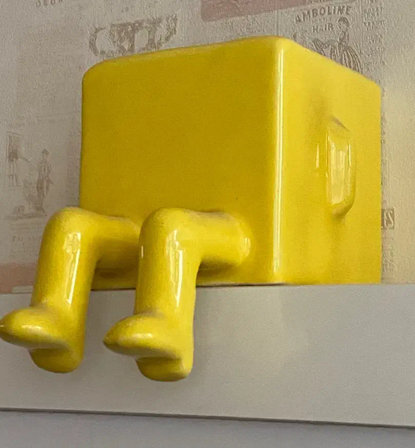 گلدان رومیزی نشسته|گل و گیاه طبیعی|مرند, |دیوار