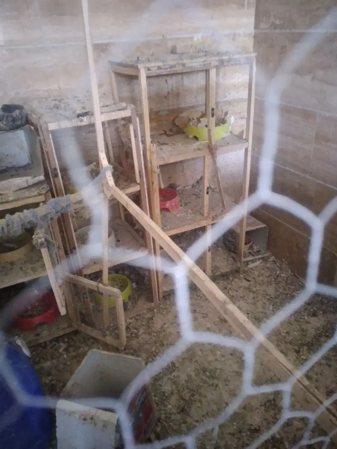 قفس و جفت کن کبوتر|لوازم جانبی حیوانات|ملایر, |دیوار