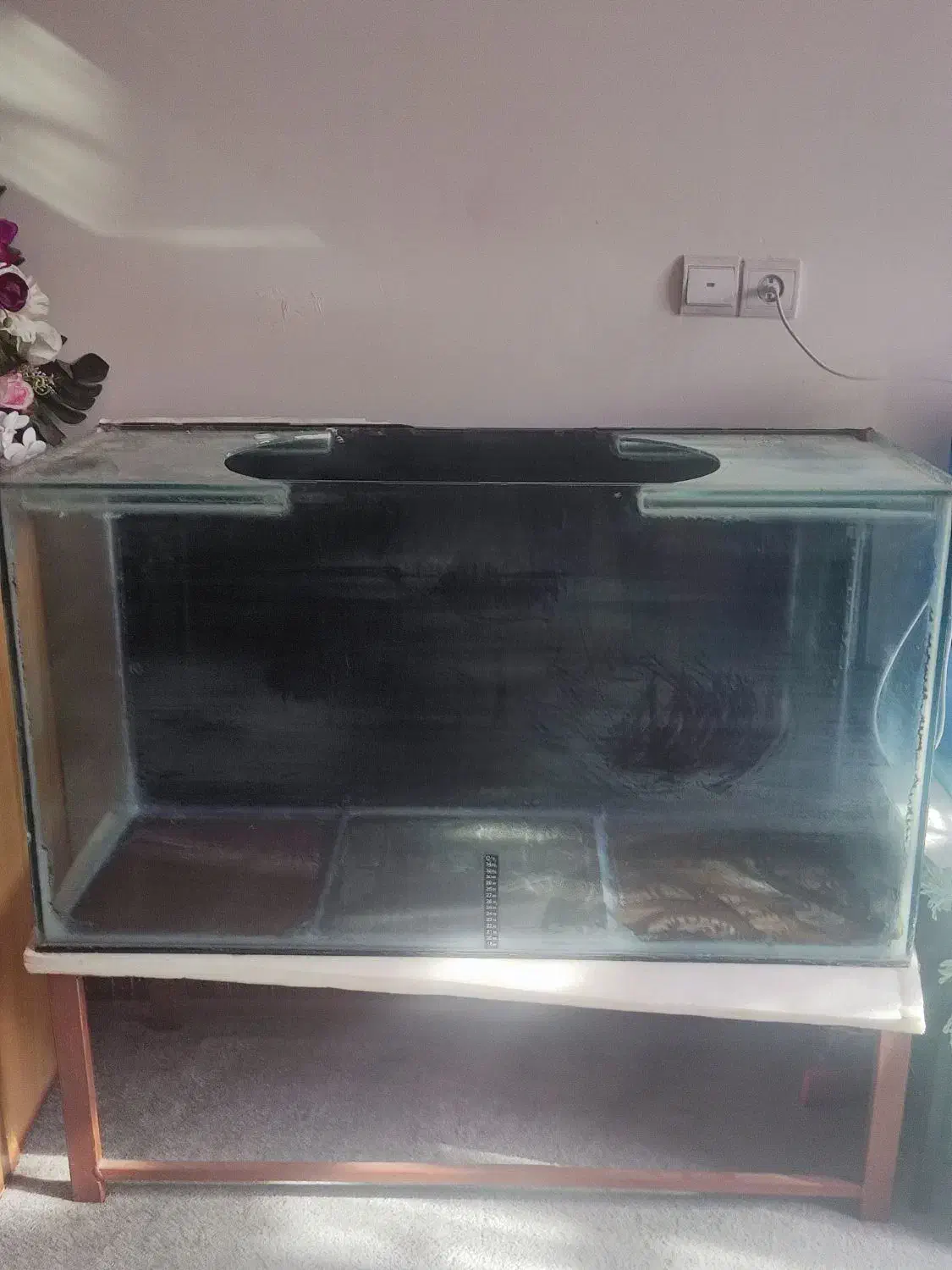 یک عدد آکواریوم با پایه|ماهی|خرمآباد, |دیوار