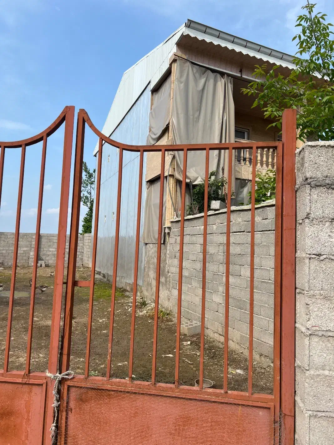 ۲۲۷ متر زمین شهر لولمان استانه اشرفیه|فروش زمین و ملک کلنگی|لولمان, |دیوار