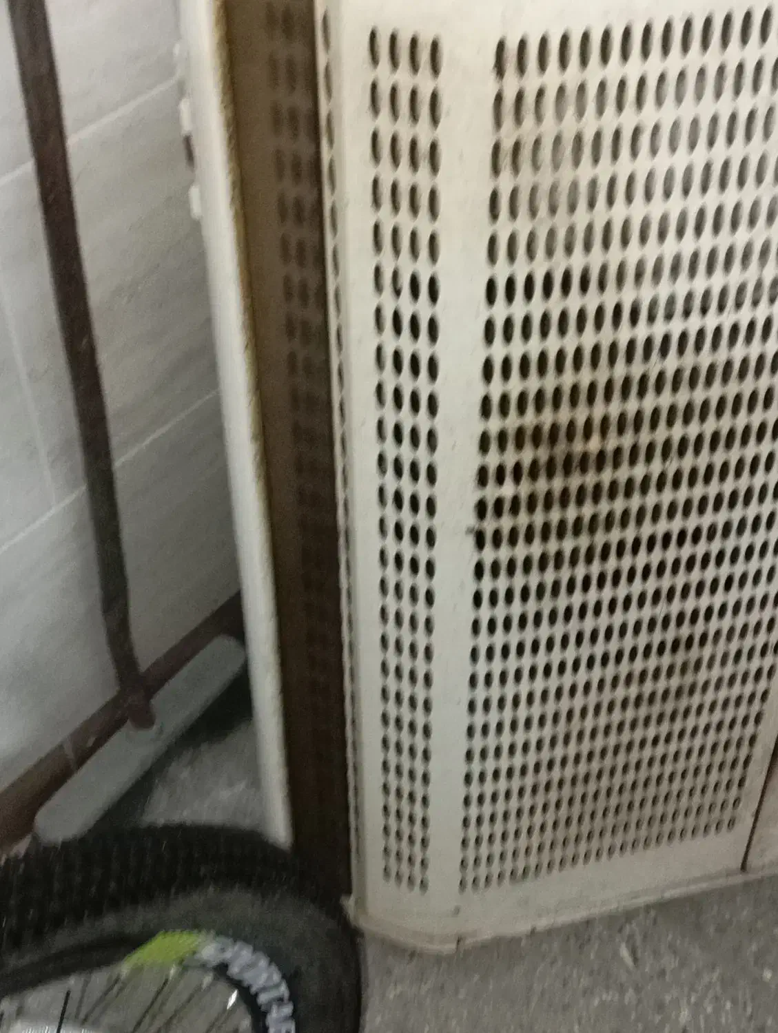 همچی سالم|هود|تربت‌حیدریه, ترمینال|دیوار