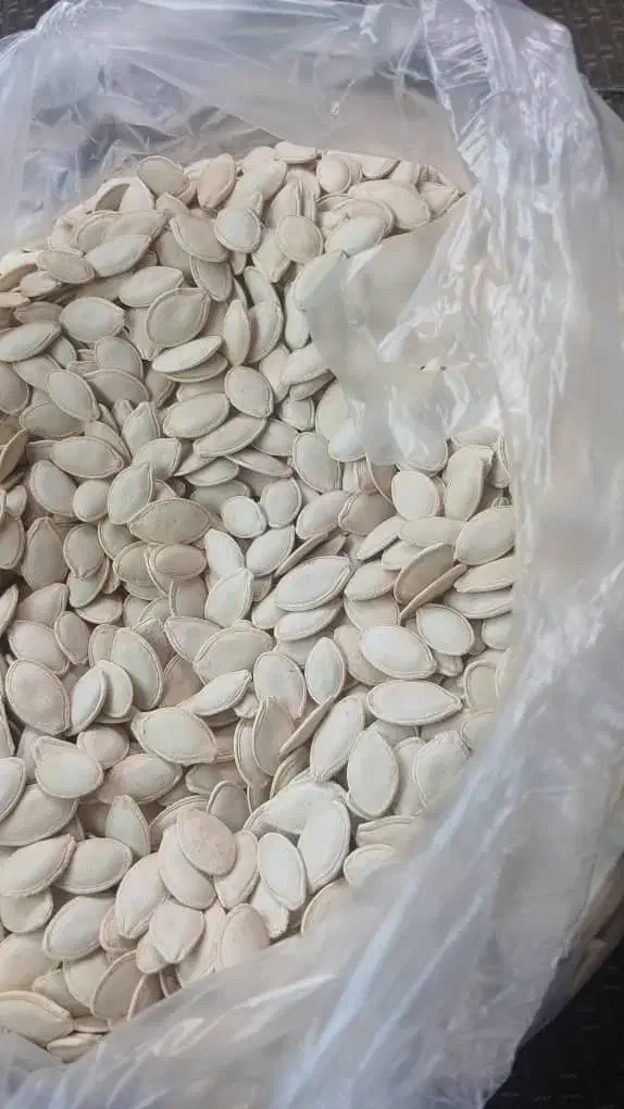 تخمه کدو|خوردنی و آشامیدنی|کبودرآهنگ, |دیوار