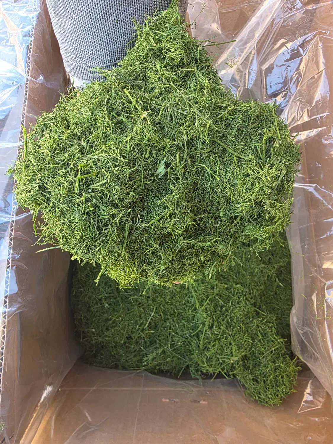 پخش عمده ادویه، گیاهان دارویی و روغن گیاهی|عمده‌فروشی|قم, قلعه کامکار|دیوار