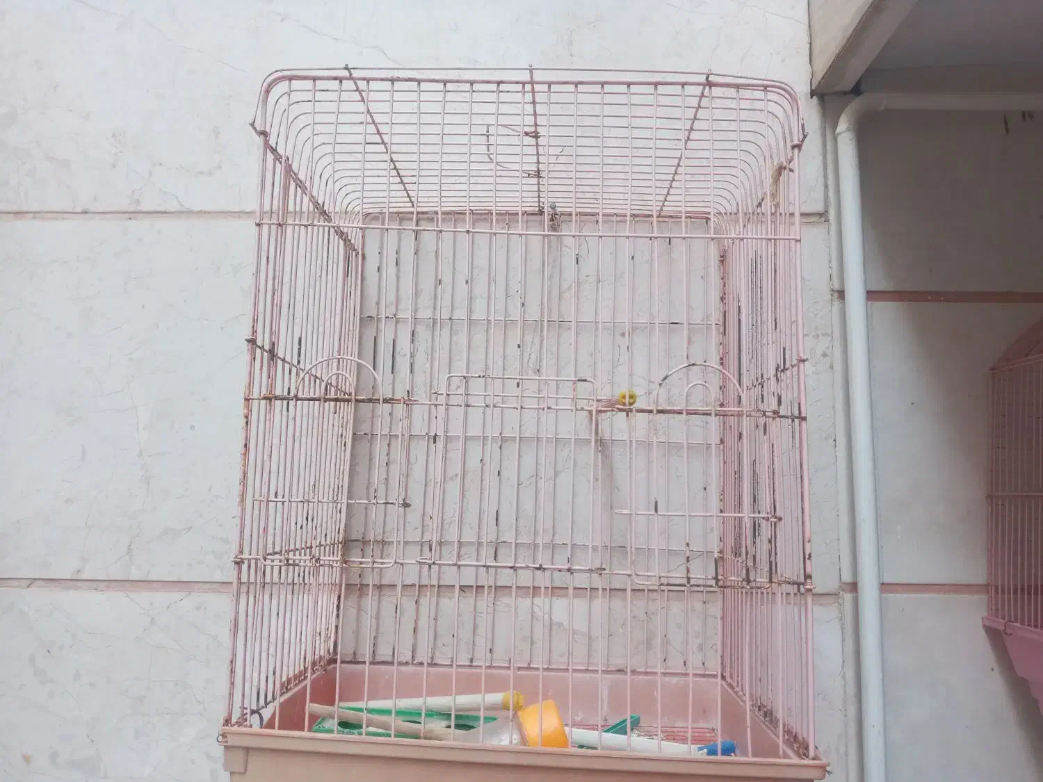 فروش قفس پرنده دست دوم|لوازم جانبی حیوانات|قزوین, |دیوار