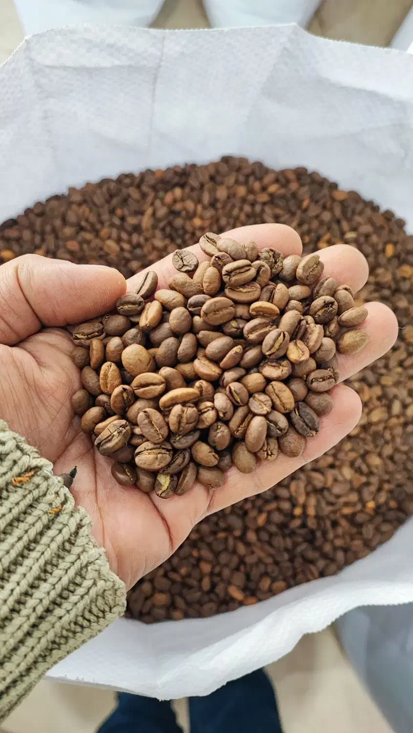 دان قهوه ، ویتنام ، اوگاندا ، برزیل ،کلمبیا|عمده‌فروشی|تهران, بازار|دیوار