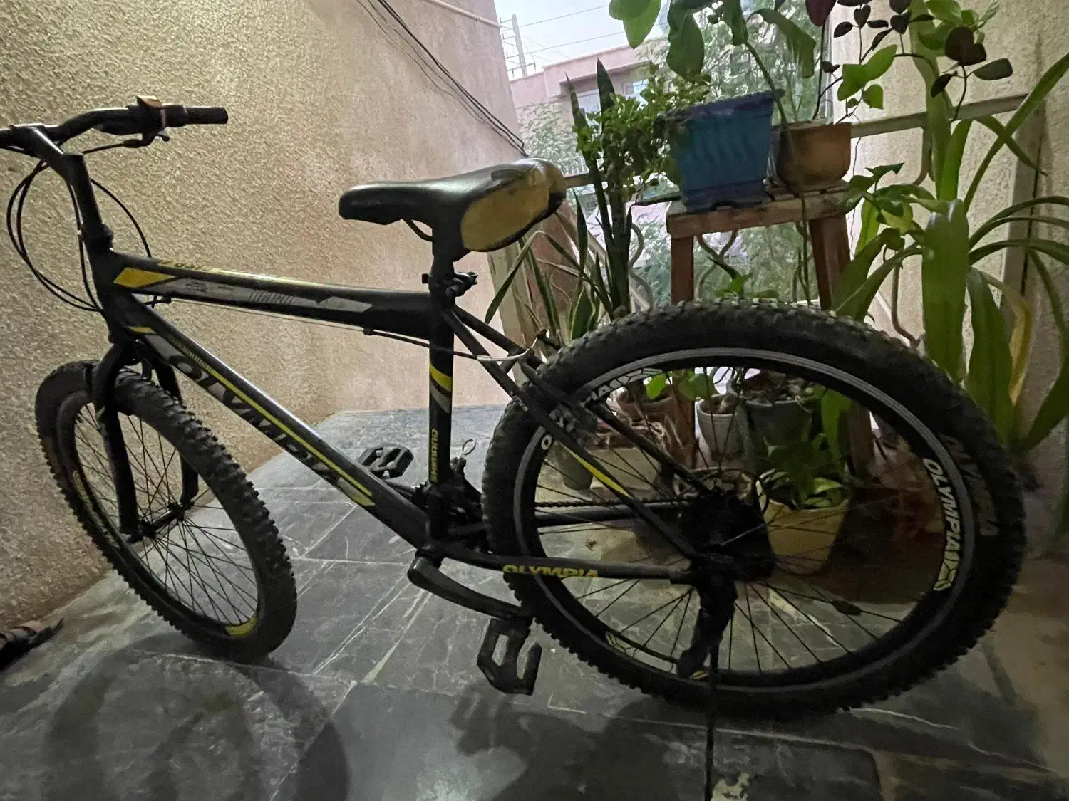 المپیاد 26|دوچرخه، اسکیت، اسکوتر|بوشهر, |دیوار