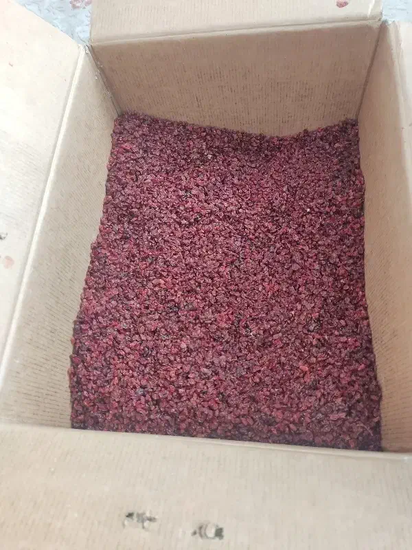 زرشک|عمده‌فروشی|ایلام, |دیوار