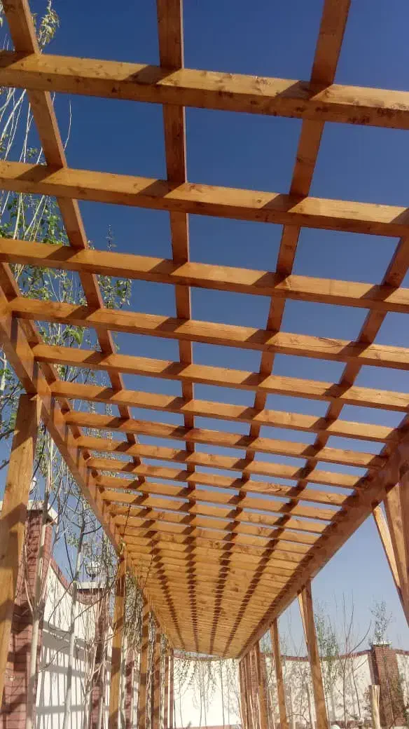 چوب داربند انگور وداربست وچوبفروشی|عمده‌فروشی|یزد, |دیوار