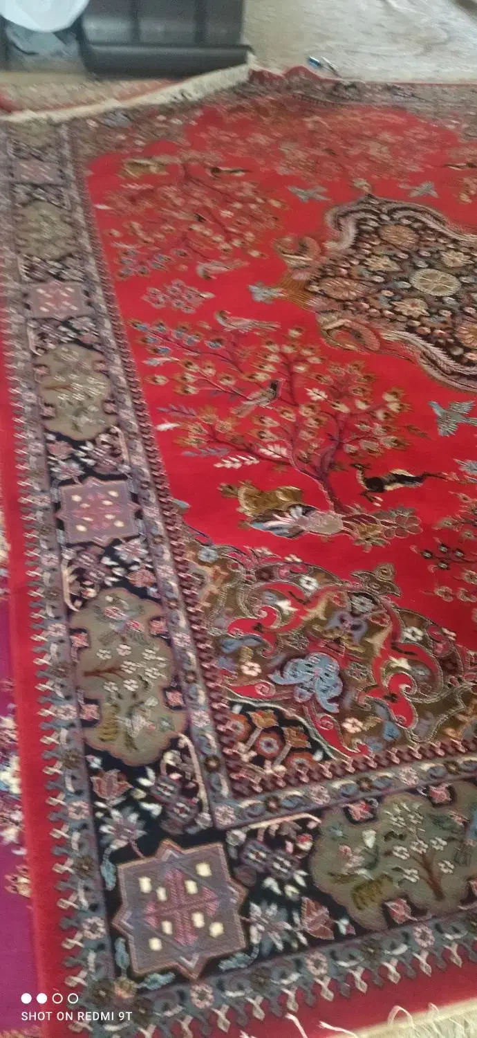 فرش|فرش|فشاپویه, |دیوار