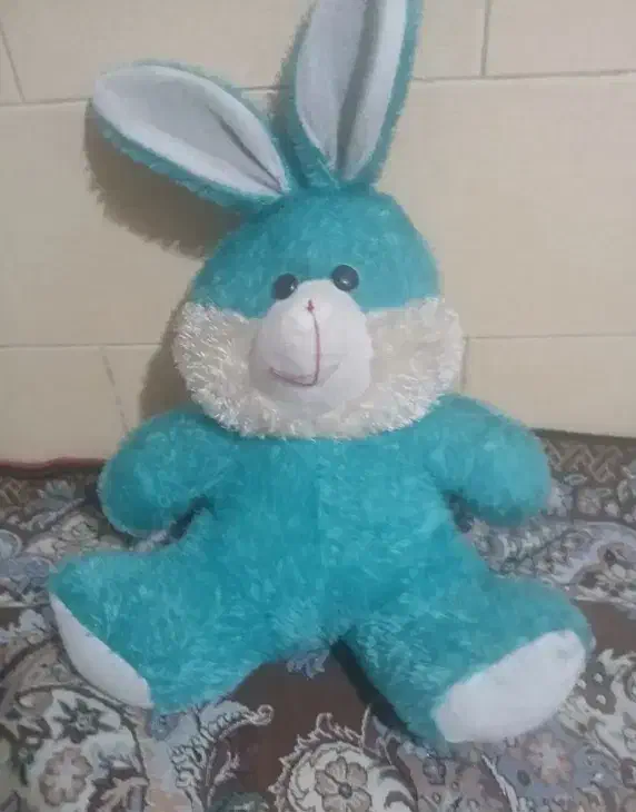 عروسک|اسباب‌بازی بچه|دوگنبدان, |دیوار