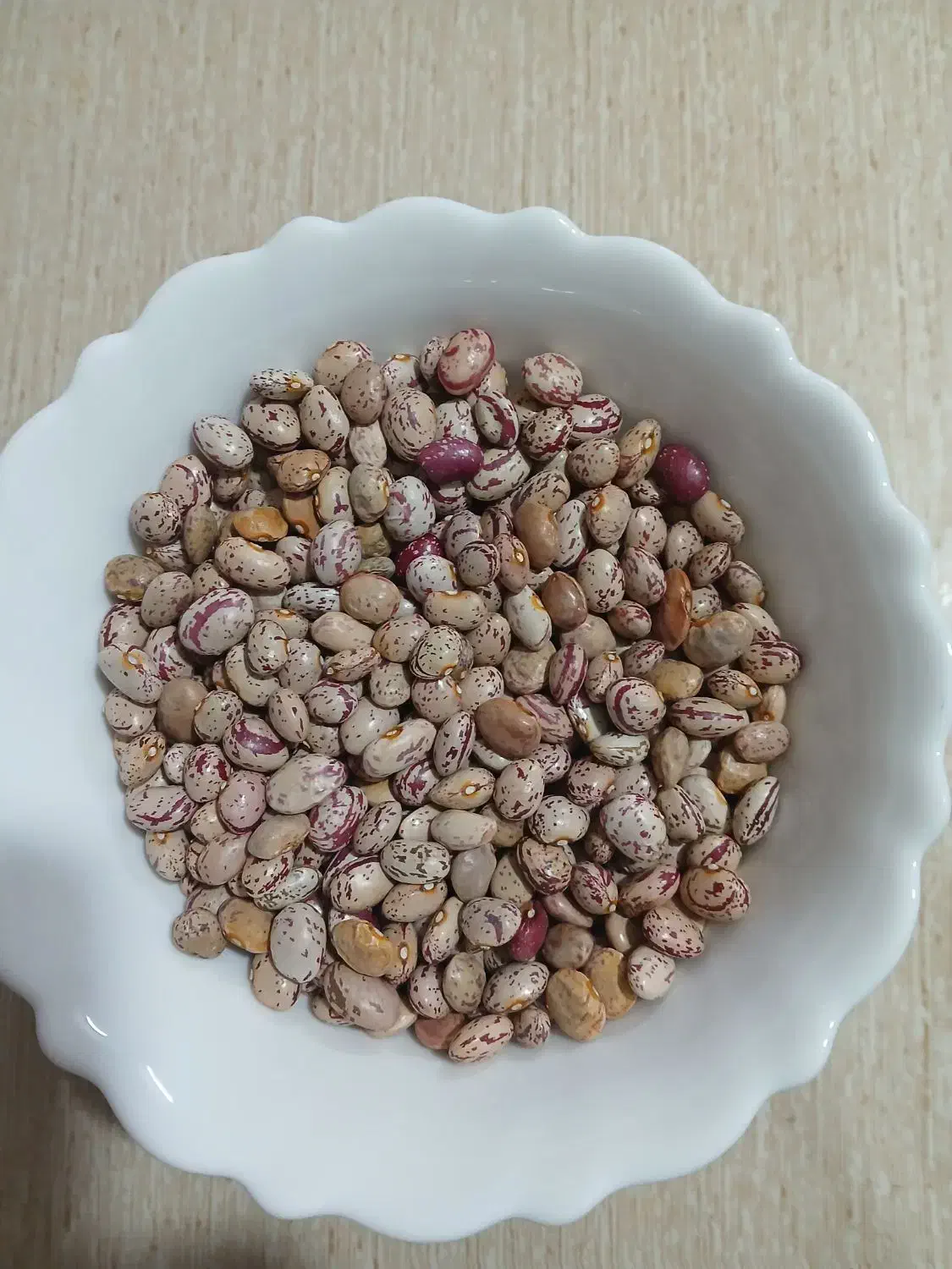 لوبیا چیتی|خوردنی و آشامیدنی|قم, کیوانفر|دیوار