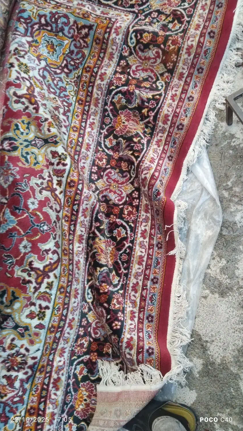 فرش لباس کردی|فرش|ارومیه, |دیوار