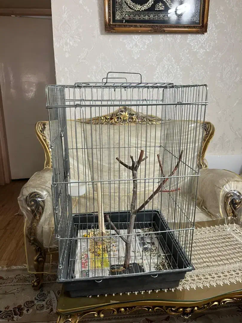 قفس بزرگ|لوازم جانبی حیوانات|تهران, اسفندیاری|دیوار