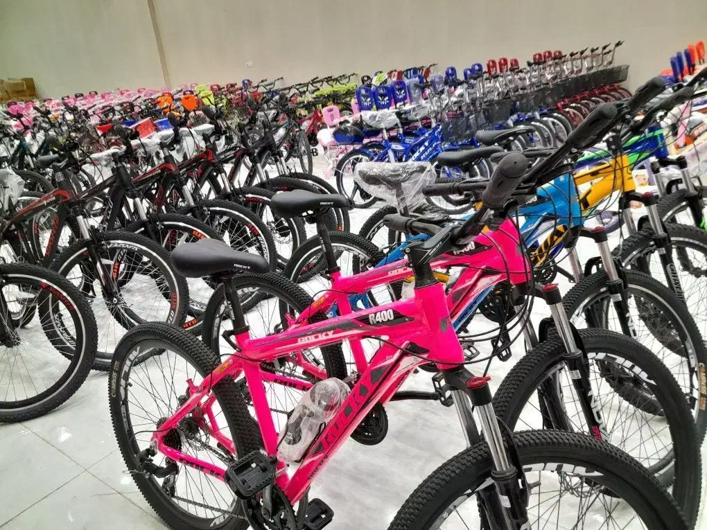 فروش دوچرخه با تضمین قیمت/کلاج دار ۲۴*&)|دوچرخه، اسکیت، اسکوتر|اردبیل, |دیوار