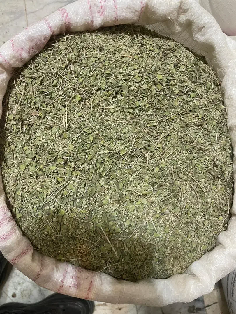 آویشن کوهی|خوردنی و آشامیدنی|مشهد, مقدم|دیوار