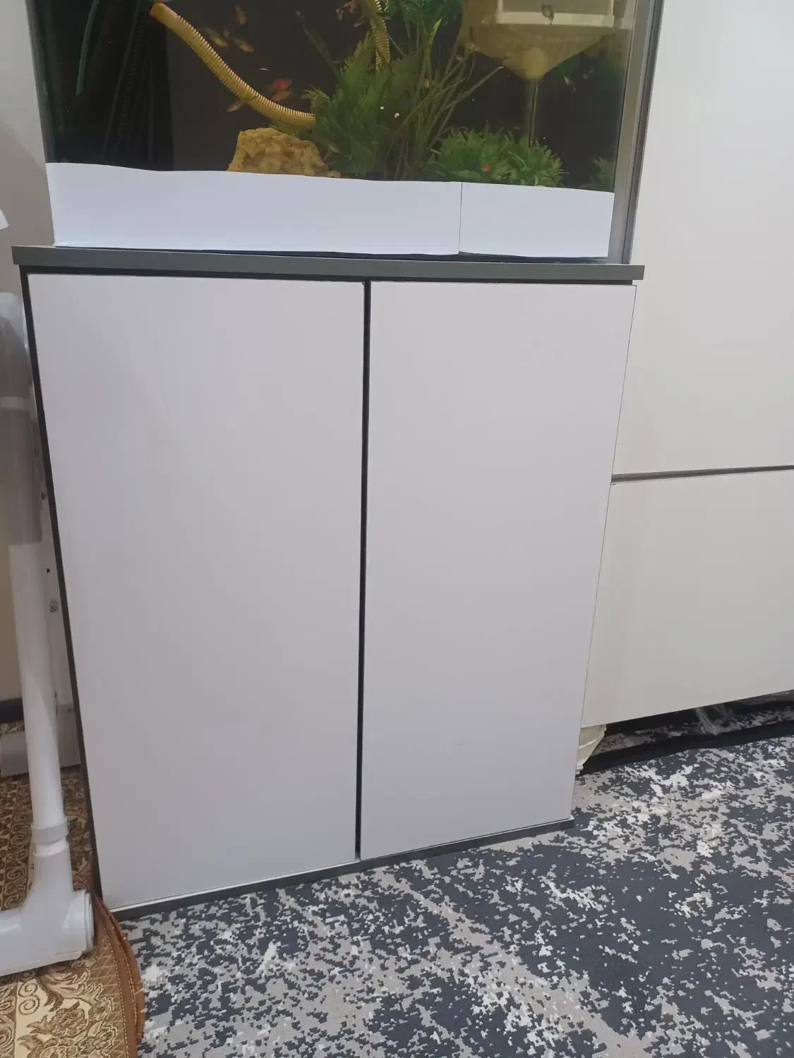 اکواریوم|ماهی|کرج, حسن آباد|دیوار