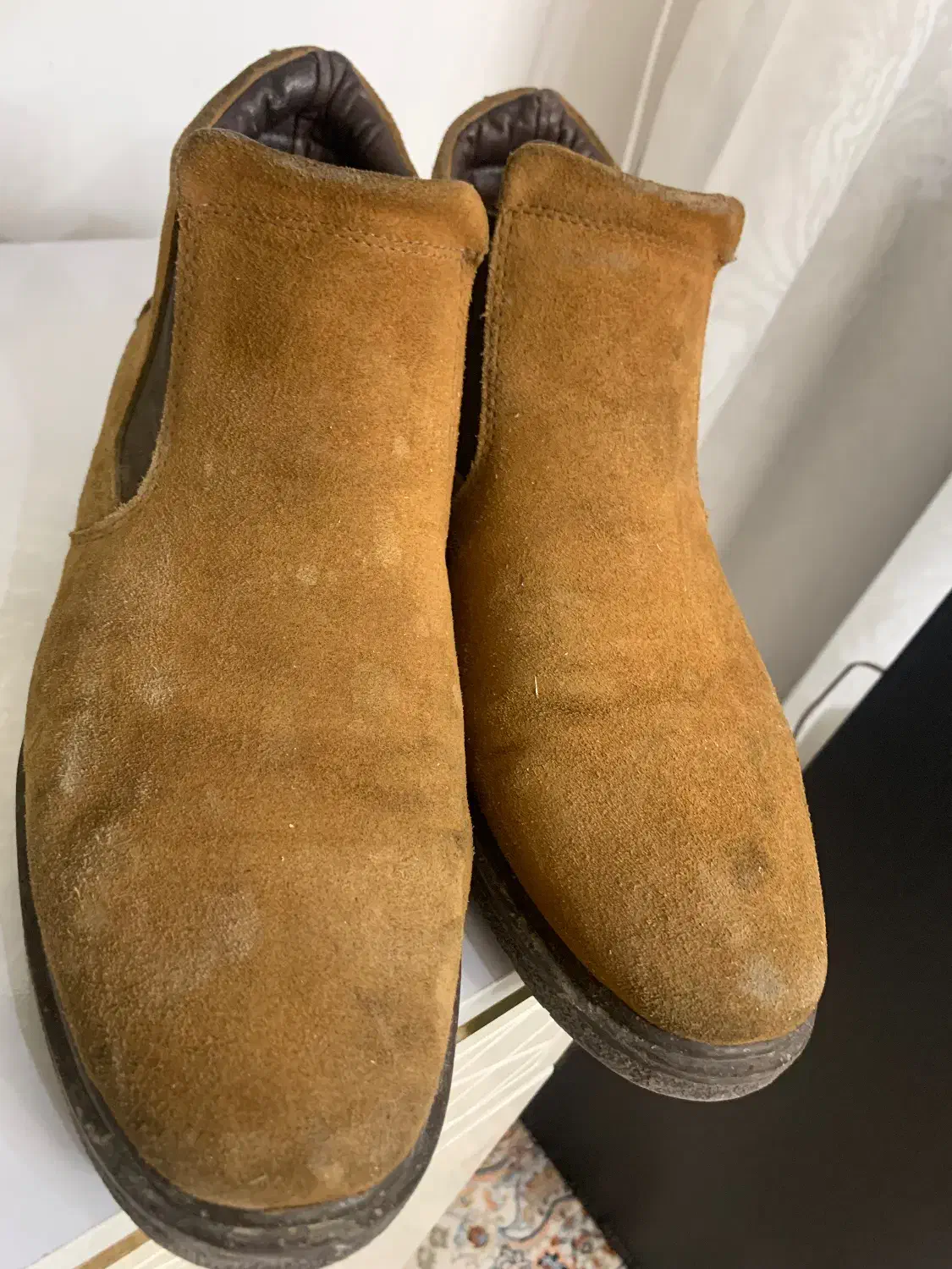 پالتو و کفش|لباس|تربتحیدریه, آغوی|دیوار