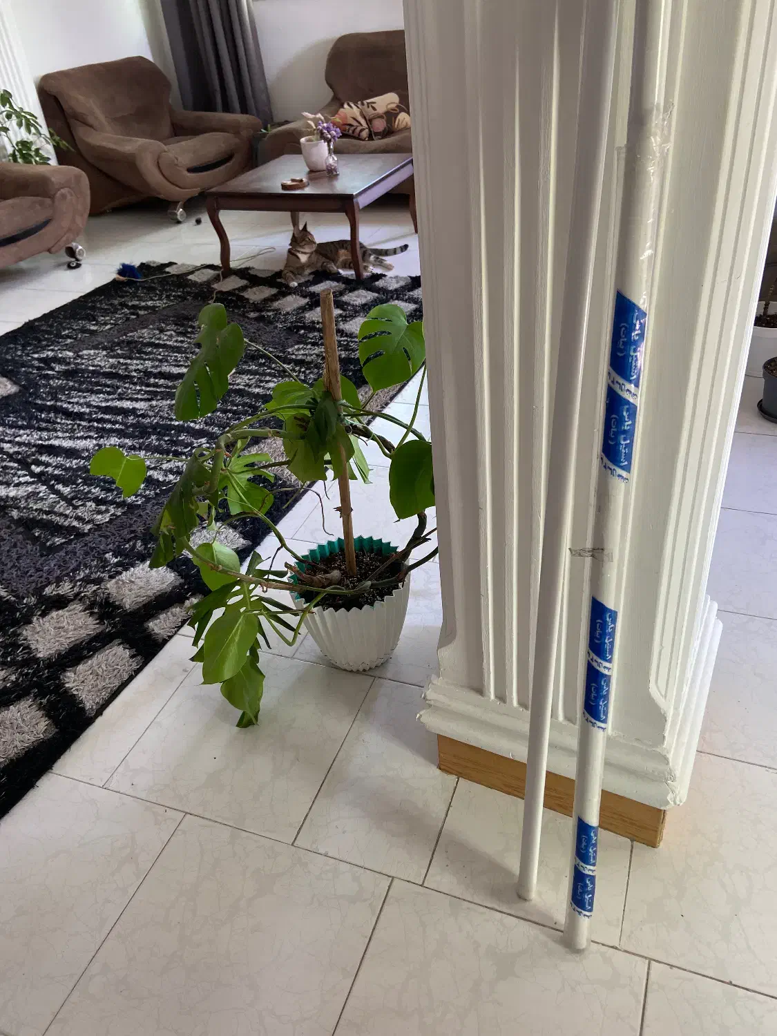 دو میله ساده سفید پرده|پرده، رانر، رومیزی|رشت, بوسار|دیوار