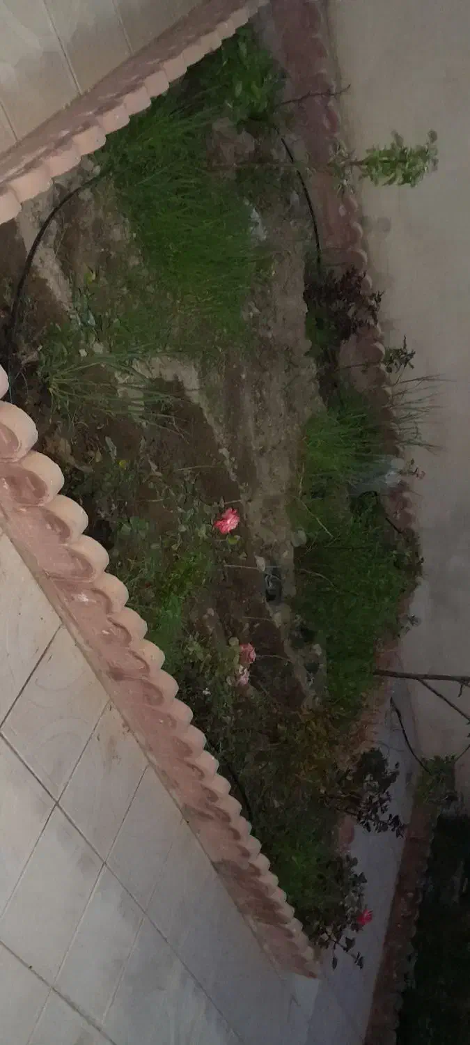 ۳۰۰متر ویلا|فروش خانه و ویلا|باسمنج, |دیوار