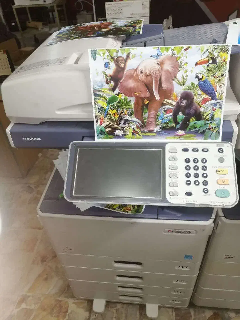 پرینتر رنگی لیزری توشیبا 2550|پرینتر، اسکنر، کپی، فکس|ابرکوه, |دیوار