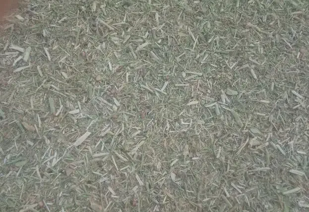 با این شماره تماس بگیرید|لوازم جانبی حیوانات|کاخک, |دیوار