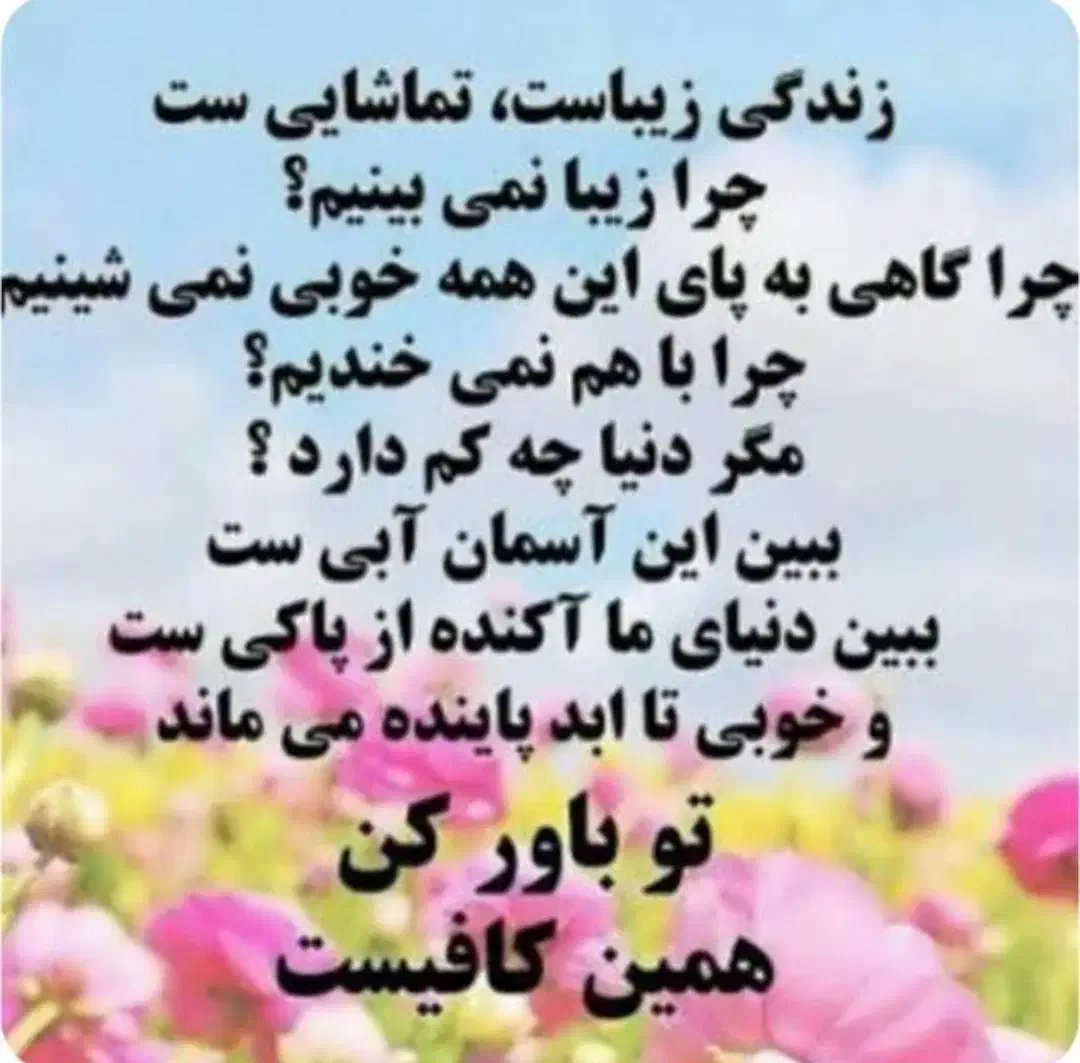 ضمانت|فعالیت داوطلبانه|شیراز, شهرک مهدی‌آباد|دیوار