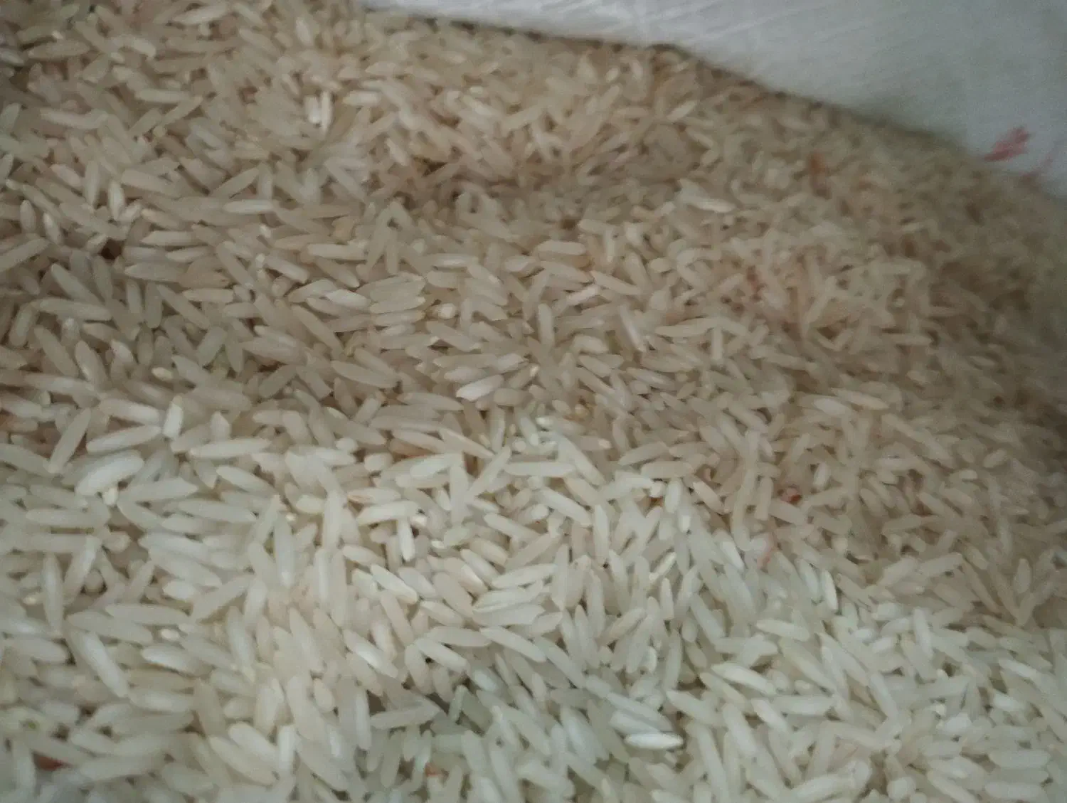 برنج ضیغمی وطارم|خوردنی و آشامیدنی|سیروان, |دیوار