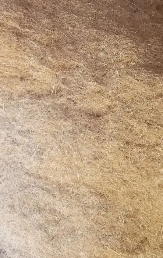 کاه|عمده‌فروشی|خوی, |دیوار