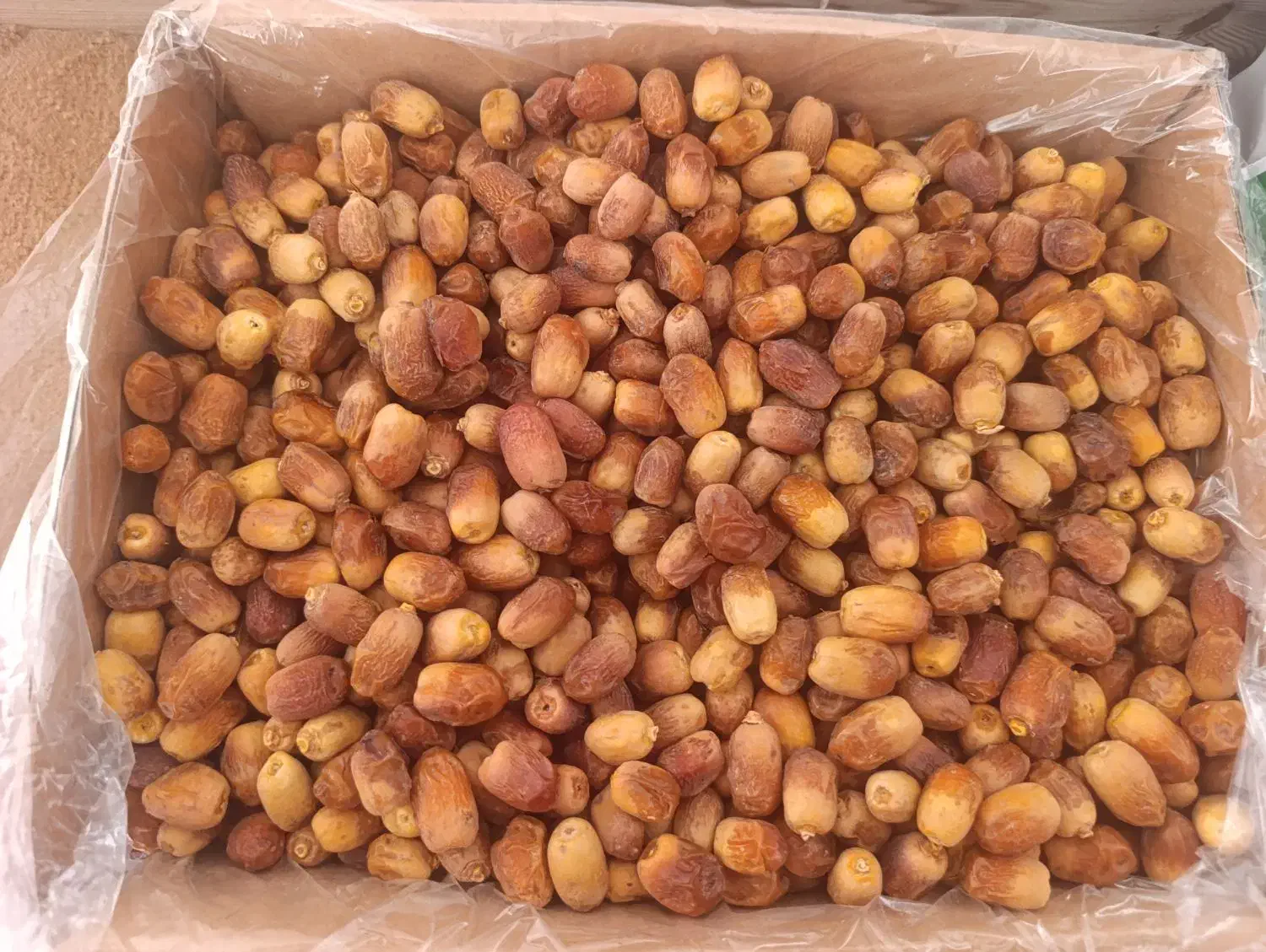 زاهدی|حراج|ایلام, |دیوار