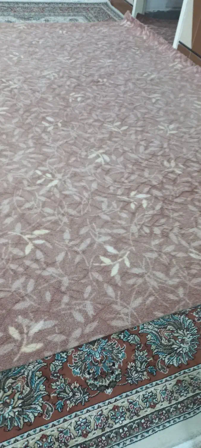 پالاز موکت در حد نو|موکت|اندیمشک, |دیوار