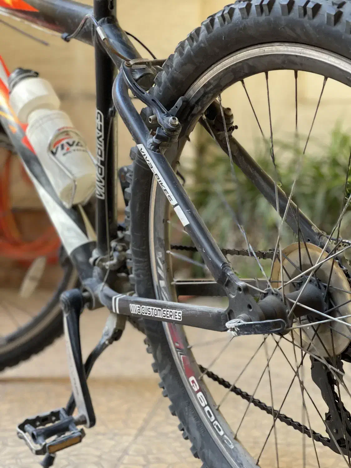 دوچرخه ویوا اصل|دوچرخه، اسکیت، اسکوتر|گنبد کاووس, |دیوار