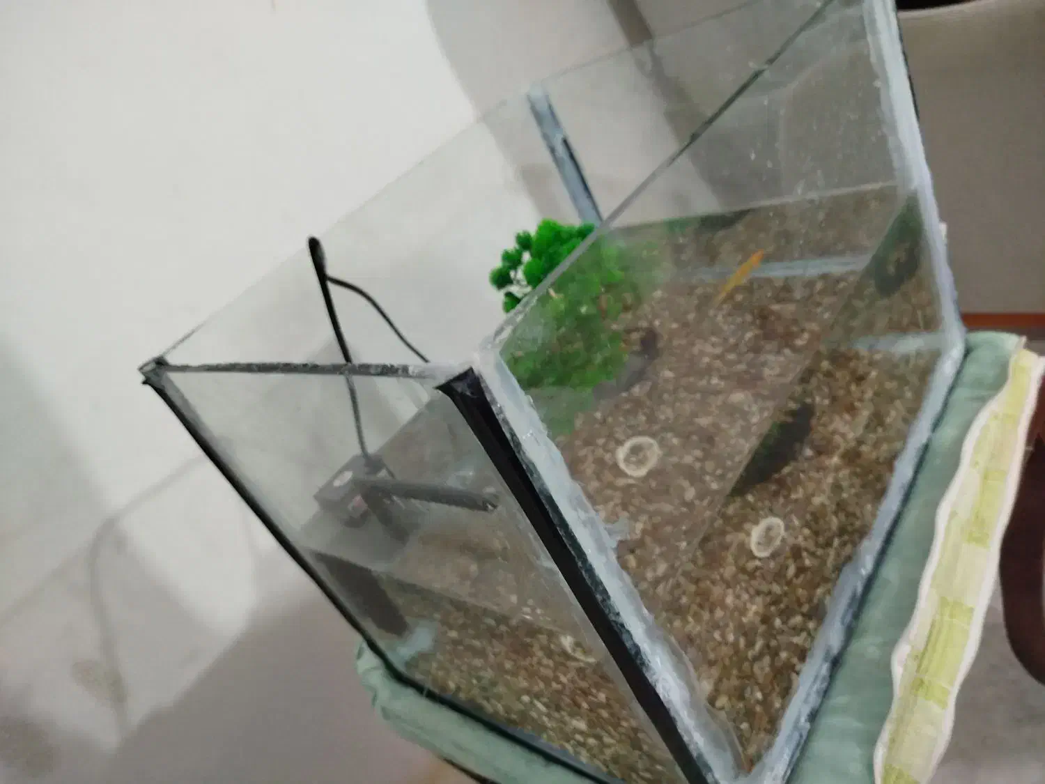 آکواریوم با وسایل و ماهی|ماهی|مسجد سلیمان, |دیوار