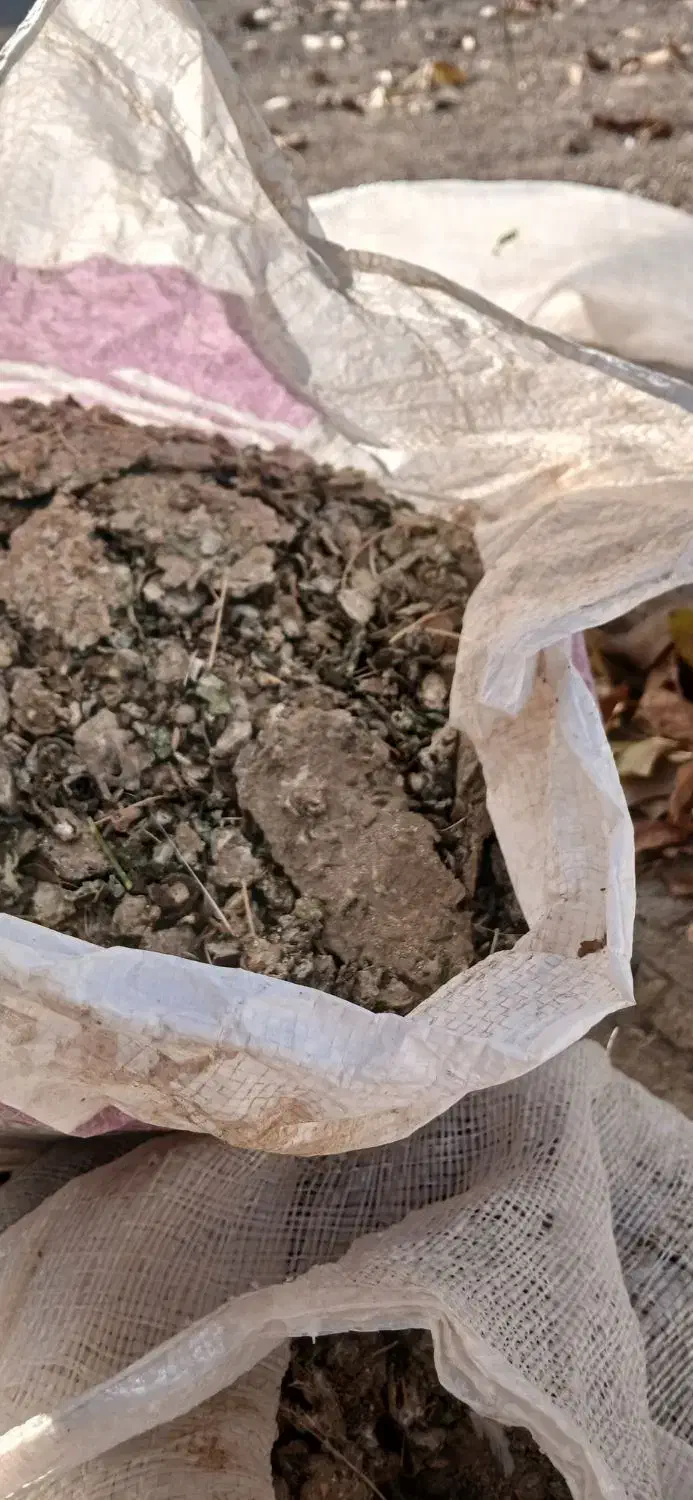 کود.کبوترفروشی|لوازم جانبی حیوانات|همدان, |دیوار