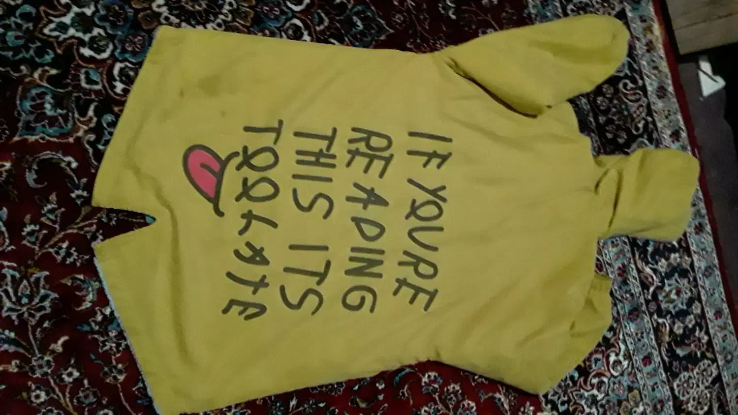 کاپشن|لباس|بروجرد, |دیوار