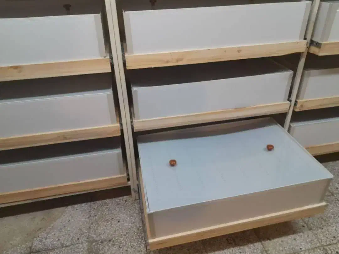 باکسهای مخصوص پرورش حلزون میلورم یاکاشت قارچ|لوازم جانبی حیوانات|اصفهان, جاوان|دیوار