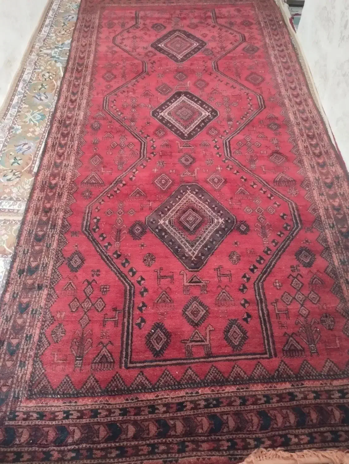 فرش|فرش|زاهدان, |دیوار