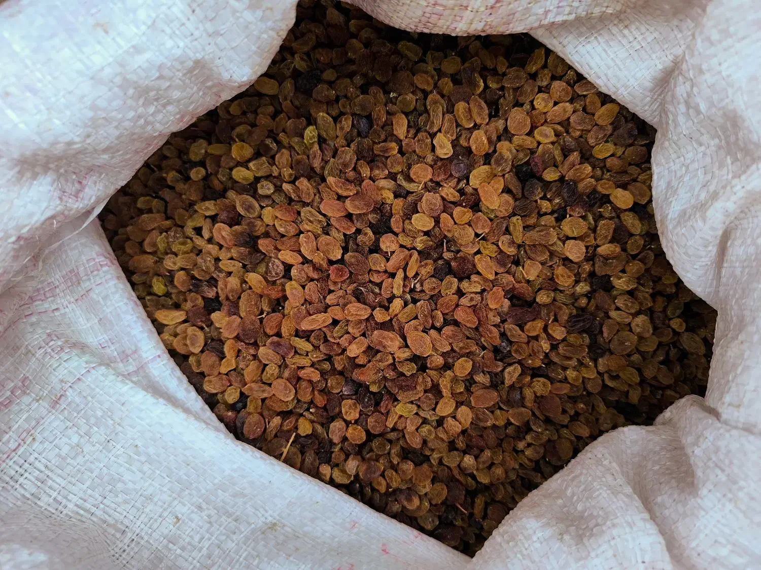 کشمش تیزآبی کشمش آفتابی گله کشمش پلویی مویز کشمش|خوردنی و آشامیدنی|مشهد, امیریه|دیوار