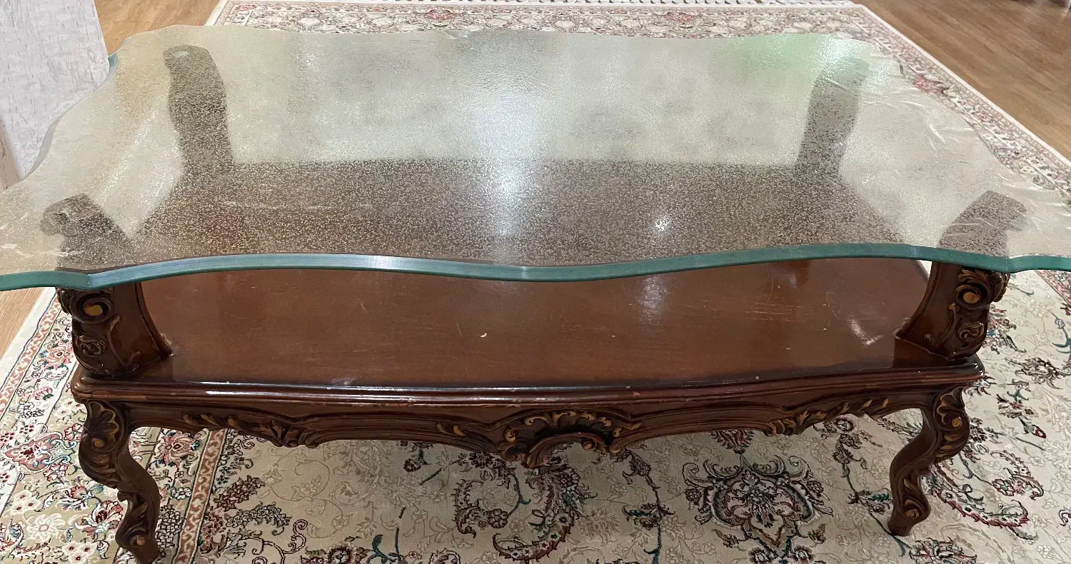 جلو مبلی|مبلمان خانگی و میز عسلی|رشت, کاکتوس|دیوار