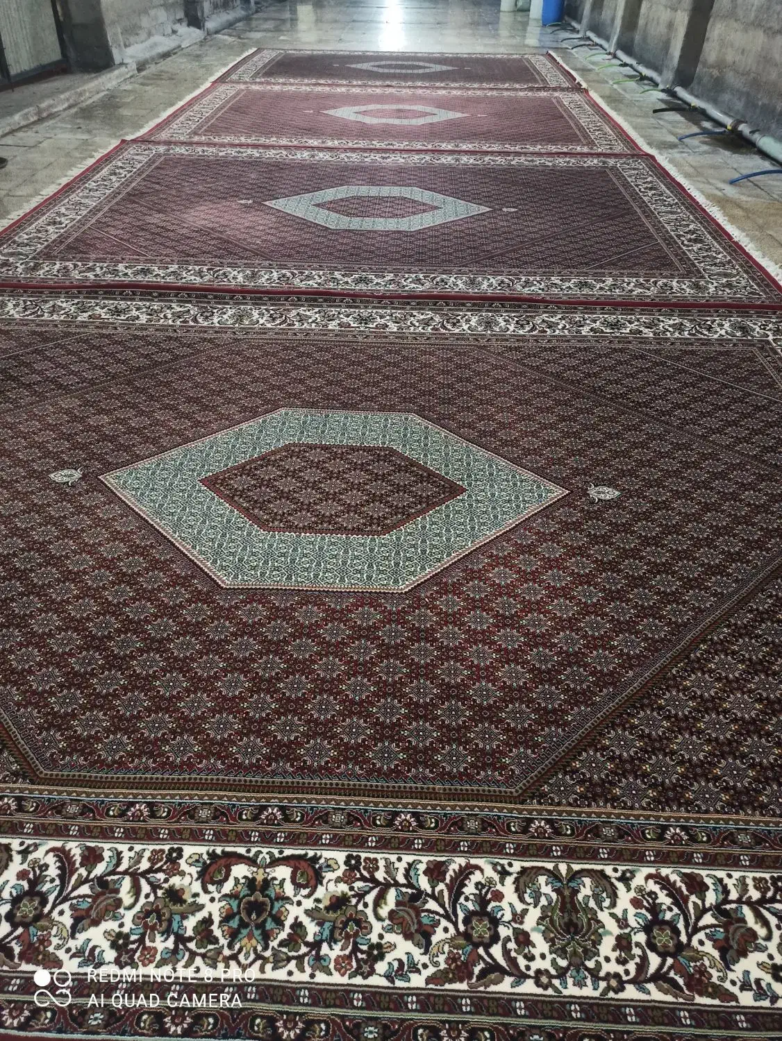 فرش ریزه ماهی|فرش|زنجان, |دیوار