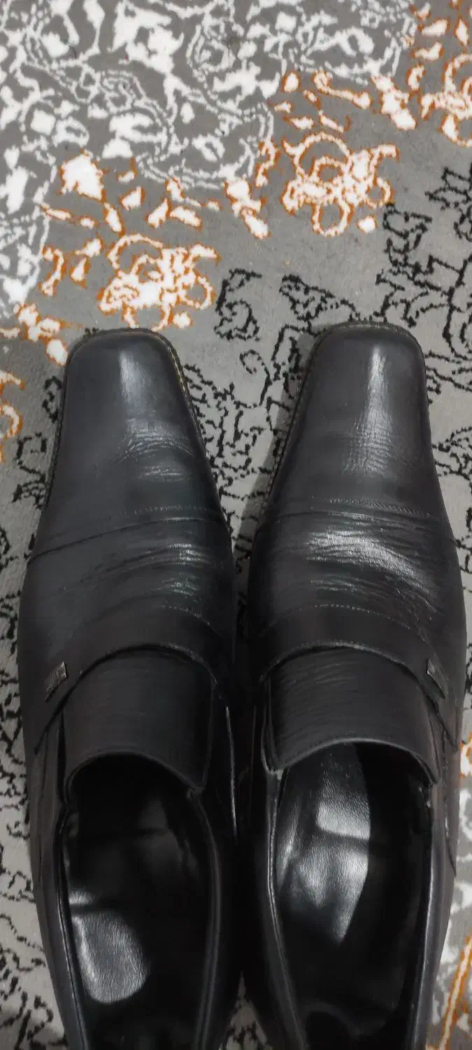 کفش مجلسی مردانه|کیف، کفش، کمربند|شیراز, تندگویان|دیوار