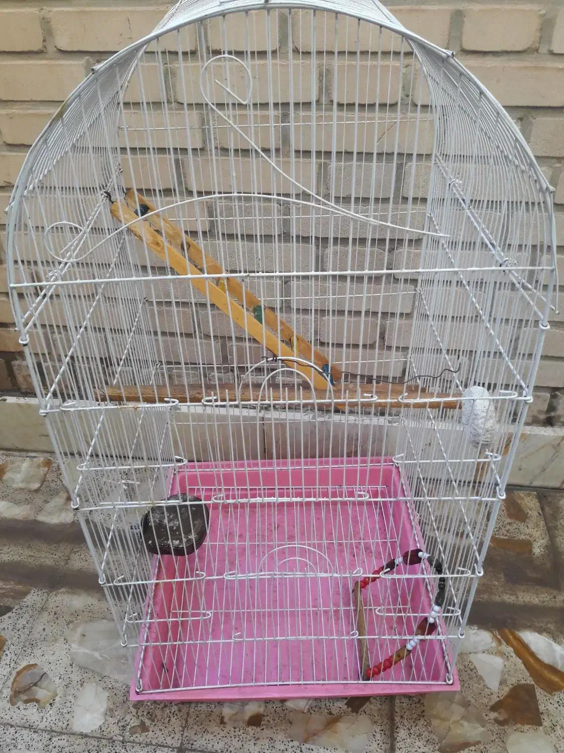 قفس سایزبزرگ 5درب پرنده|لوازم جانبی حیوانات|اهواز, بهارستان|دیوار