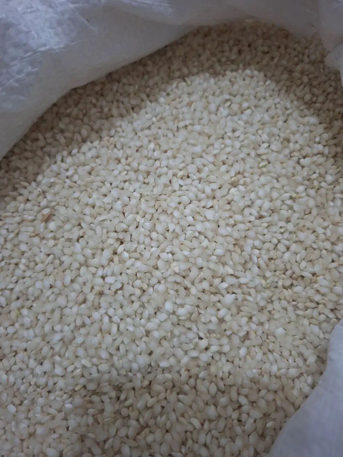 برنج گرده|خوردنی و آشامیدنی|مریوان, |دیوار